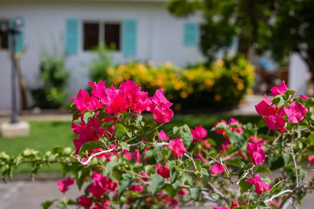 ****  Tuk Tropical Boutique Resort Jan Thiel Willemstad Curacao
