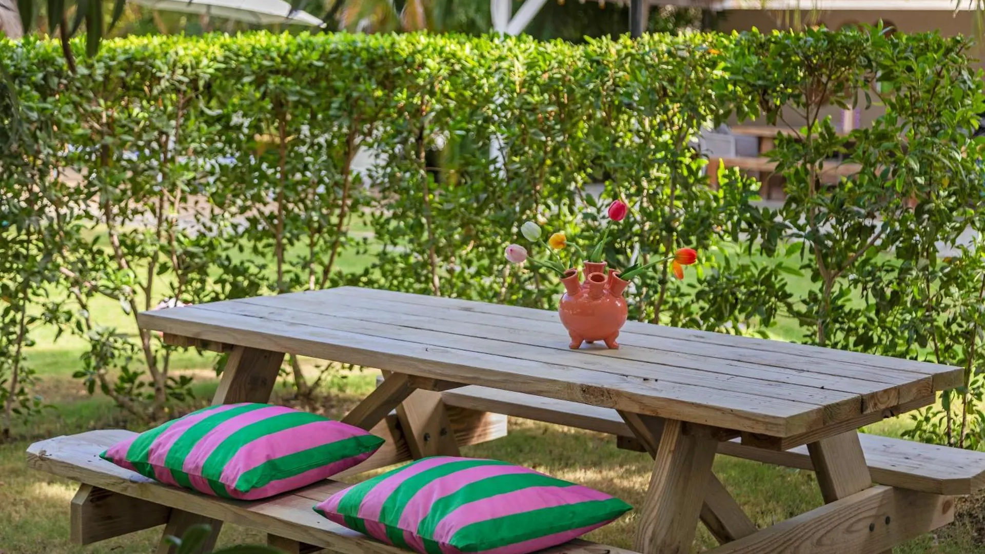 Tuk Tropical Boutique Resort Jan Thiel Willemstad